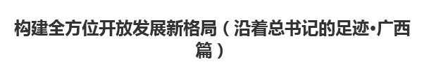 【人民日?qǐng)?bào)】構(gòu)建全方位開放發(fā)展新格局（沿著總書記的足跡·廣西篇）