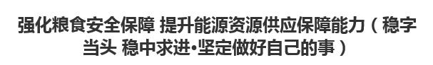 【人民日?qǐng)?bào)】強(qiáng)化糧食安全保障 提升能源資源供應(yīng)保障能力（穩(wěn)字當(dāng)頭 穩(wěn)中求進(jìn)·堅(jiān)定做好自己的事）